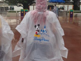 rain, Disney, poncho, playing